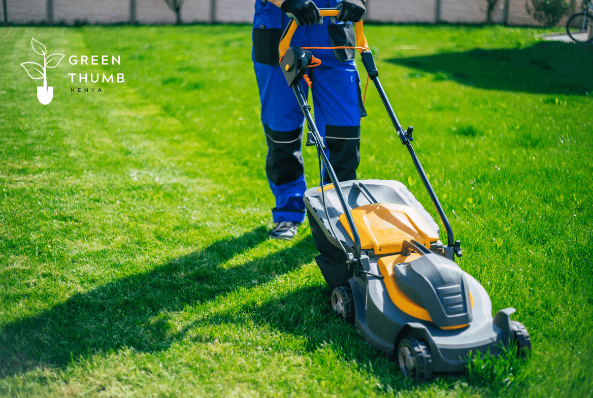 Lawn care services in Kenya